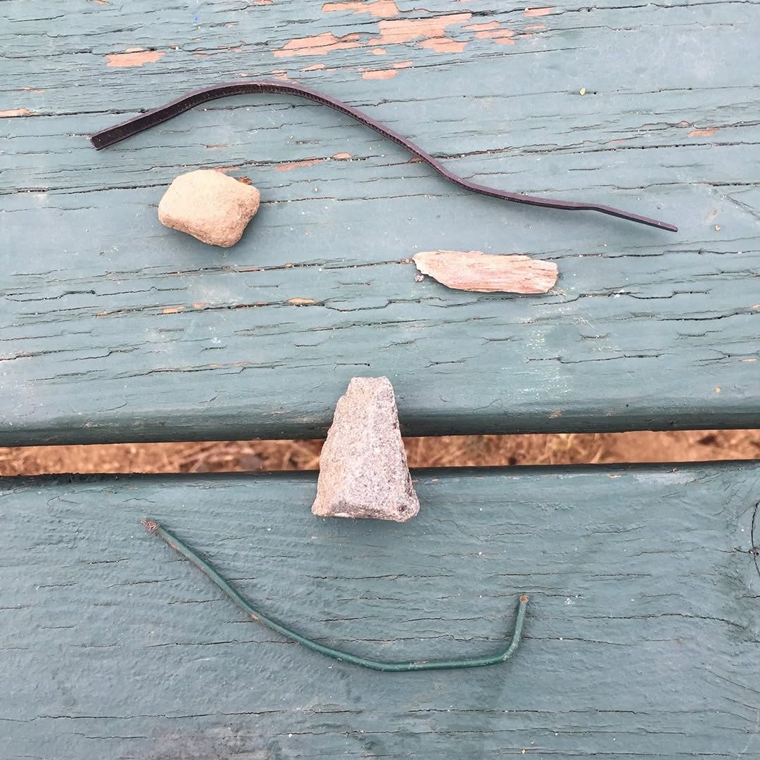 Butterfly Puddlers Butterfly Puddlers