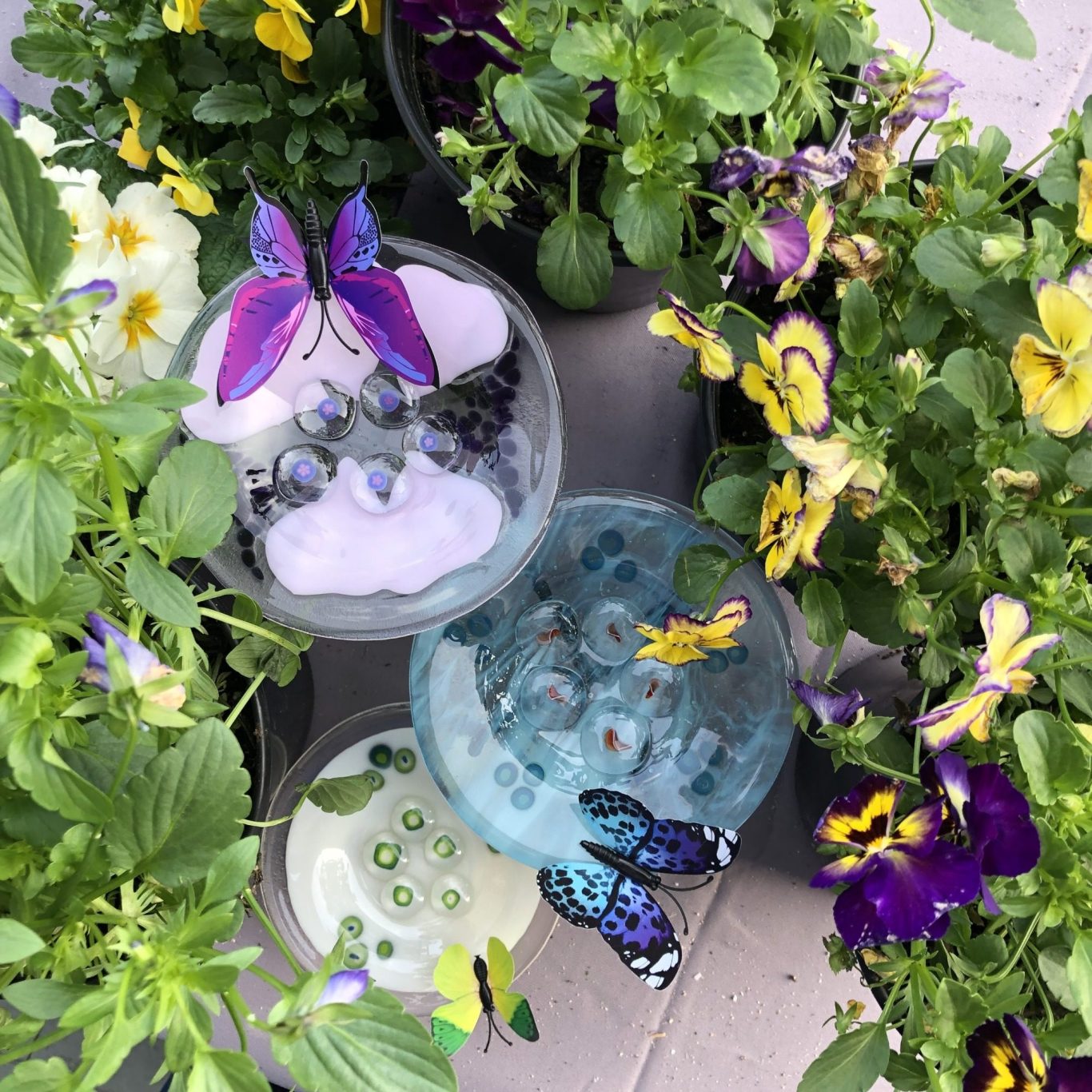 Butterfly Puddlers Butterfly Puddlers